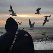 SunFlower281的个人资料头像