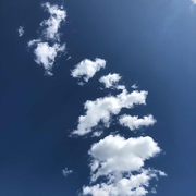 Mechanic39824的个人资料头像