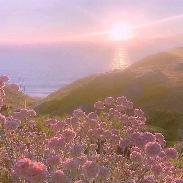 红英爱聊天头像