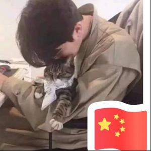 南顾故头像