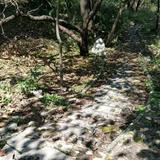 CY180808头像
