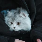 ffsec的个人资料头像