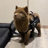 元气小羊一一头像
