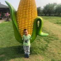 刘雨123454321头像