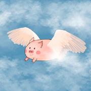 Flyingpigz的个人资料头像