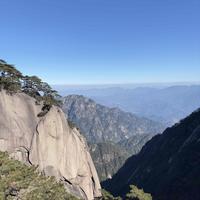 海滨上拾贝的我头像