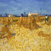 GT的个人资料头像