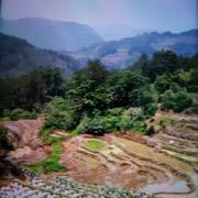 用户3816098168659的个人资料头像