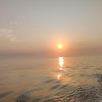 套你猴子dzh头像