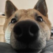 乌苏口服液的个人资料头像