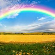 用户2381659361845的个人资料头像