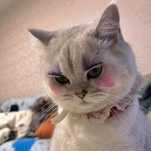 隔壁村口二丫头像