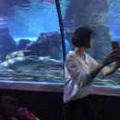 风在掘金65978的个人资料头像