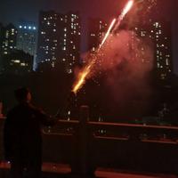 南海有鸢815头像