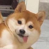 远见卓白云头像