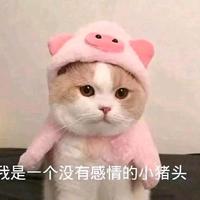 小鱼儿头像
