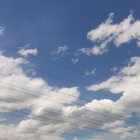 开心的笨小孩4171头像