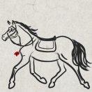 Pintus的个人资料头像