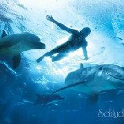 时光与尘埃的个人资料头像