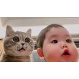如cat头像