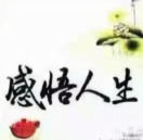 睿智1043头像