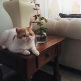 过海的男人268头像