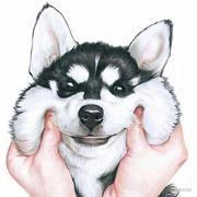 LiuSH的个人资料头像