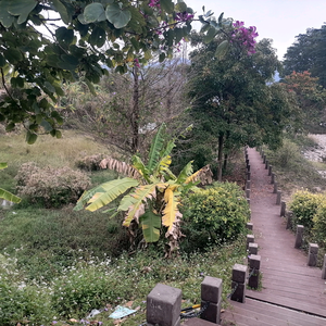 旅游行分享铺头像