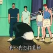 adair的个人资料头像
