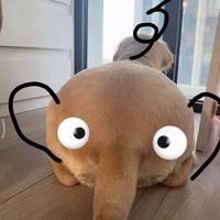 用户8039703774234头像