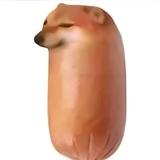 蛋壳_875头像