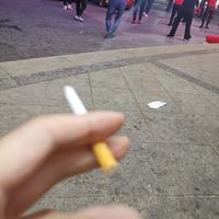 无忧的香瓜5l头像