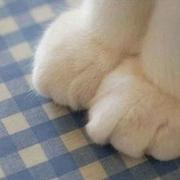 wangwang1465198823064的个人资料头像