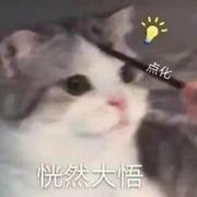 喵喵的小咸鱼的个人资料头像