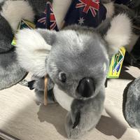 洒脱香瓜8zc头像