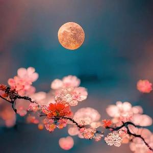 陌上玉公子头像