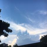 风景在前方go头像