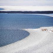 吾名十八画的个人资料头像