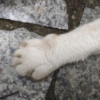 快乐的小鱼8头像