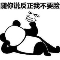 一个正经的流氓头像