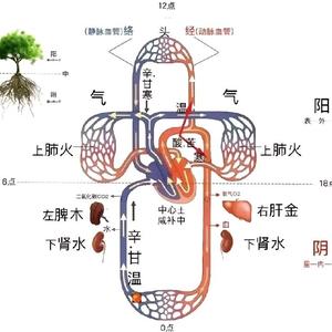 国学中医传承头像