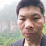 积极的鲸鱼VH头像