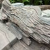 我222300288头像