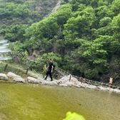 爱上巍哥头像
