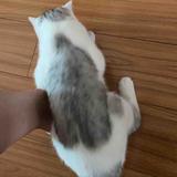 被你加厚哈酒头像