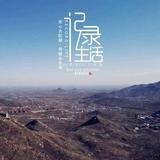 杨先生的兔头像