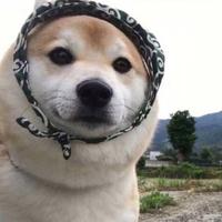 热情溪流Mht头像