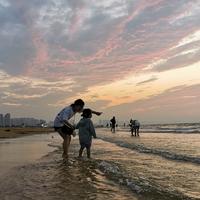 翎空一羽745头像