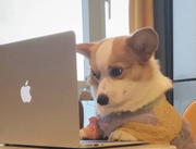 Drunk的个人资料头像