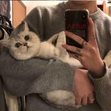 可乐82619头像